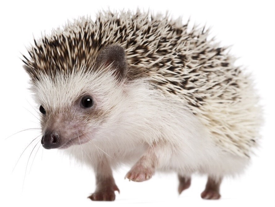 534
