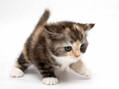 395